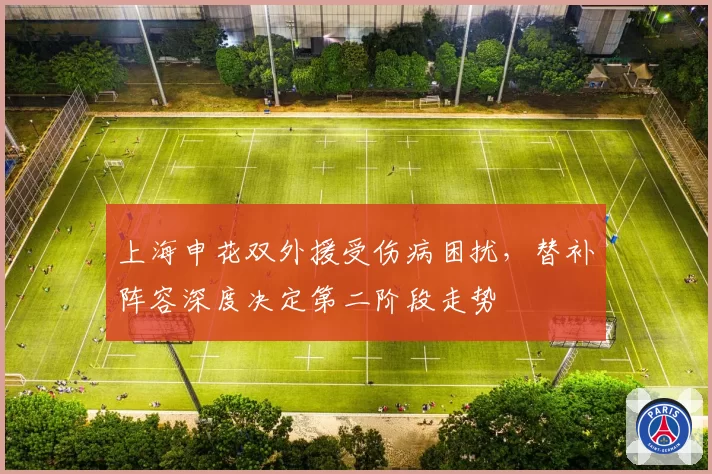 上海申花双外援受伤病困扰，替补阵容深度决定第二阶段走势